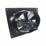 Fan International Co Ltd