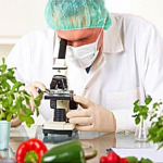 เคมีอาหาร - บริษัท เคมีแหลมทองมาร์เกตติ้ง จำกัด