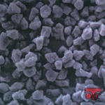 Triocean (Thailand) Co Ltd