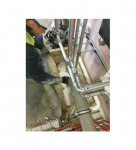 Jewelry Plaster Co Ltd