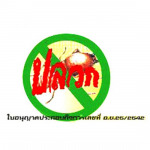 รับฉีดปลวก เชียงใหม่ - ซี เอ็น เอ็กซ์ กำจัดแมลง-กำจัดปลวก เชียงใหม่