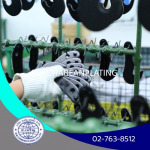 Sor Charearn Plating Co., Ltd.