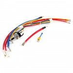 MSTD Enterprices Co Ltd