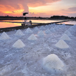 เกลือ - ห้างหุ้นส่วนจำกัด วรวัฒน์ ยูเนี่ยน ซอลท์ 