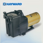 ปั๊มสระว่ายน้ำ - บริษัท พี อี เคมีคอล แอนด์ เซอร์วิส จำกัด