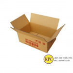 Regular Slotted Container - KPC Carton Co Ltd