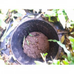 เอส วี โฮมอินเตอร์ เซอร์วิส - บริษัท เอส วี โฮมอินเตอร์ เซอร์วิส จำกัด