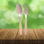 ชุดช้อนส้อมพลาสติก พรีเมี่ยม - บริษัท ยูแพคกรีนวิชชั่น จำกัด