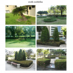 GFI Service Group Co Ltd