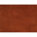 Dunlop Adhesives (Thailand) Limited