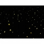 ไฟเบอร์ออฟติก สระว่ายน้ำ ภูเก็ต  - ห้างหุ้นส่วนจำกัด ทีดับบลิว พูลส์ แอนด์ คอนสตรัคชั่น 