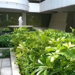 ระบบสปริงเกอร์ - ร้าน ใบไม้ชายคา 