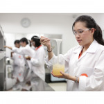 ซิลิค คอร์พ - บริษัท ซีลิค คอร์พ จำกัด