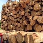 Sanamchai Bore Pile Co Ltd