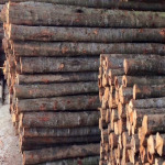 Sanamchai Bore Pile Co Ltd