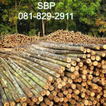 Sanamchai Bore Pile Co Ltd