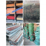 ยูคา ริมคลอง ไม้แบบ