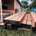 เสาวณีย์ ค้าไม้