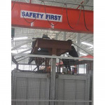 Banjong Rokfaifa Co Ltd