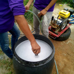 Greenplus Pest Control