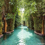 บริการดูแลสระว่ายน้ำ - เอ็มเอส พูล