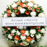 ดอกไม้แทนใจ สุรินทร์