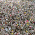 รับซื้อขวด - วงษ์พาณิชย์ (ตลาดช้อย)