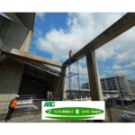 A.N.G Management And Service Co Ltd