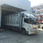 Leng Transport