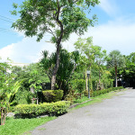 เดอะ การ์เด้นท์ อพาร์ทเม้นท์