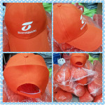 บริการงานปัก - แคลิฟอร์เนีย งานปัก