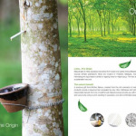 บริษัท อีโคไลฟ์ลาเท็กซ์ (ประเทศไทย) จำกัด