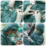 โรงพยาบาลสัตว์ สมายด็อก