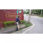 ดูแลสวน - กอบกรุ๊ฟเซอร์วิส เชียงใหม่