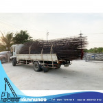 Den Phanthong Co Ltd