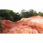 ห้างหุ้นส่วนจำกัด ลานทรายปาล์มรุ่งเรือง 