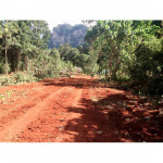 ห้างหุ้นส่วนจำกัด ลานทรายปาล์มรุ่งเรือง 