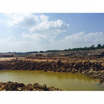 ห้างหุ้นส่วนจำกัด ลานทรายปาล์มรุ่งเรือง 