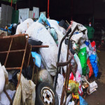 วงษ์พาณิชย์3 - วงษ์พาณิชย์ พุทธมณฑลสาย 7 นครปฐม