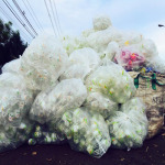 วงษ์พาณิชย์4 - วงษ์พาณิชย์ พุทธมณฑลสาย 7 นครปฐม