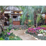 รับจัดสวน - เอส พี รับเหมาก่อสร้างจัดสวน