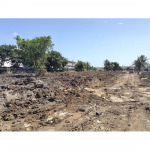 Pronphrom Punpasutha Co Ltd