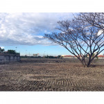 Pronphrom Punpasutha Co Ltd