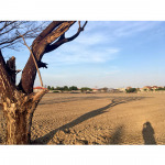 Pronphrom Punpasutha Co Ltd