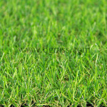 บริษัท ที วาย ซอง จำกัด