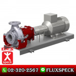 ปั๊มสูบน้ำมันร้อนชนิดขับโดยแม่เหล็ก - ปั๊มอุตสาหกรรม ฟลุคส์ ชเป็ค