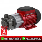 Piston Pump With Magnetic Drive - ปั๊มอุตสาหกรรม ฟลุคส์ ชเป็ค