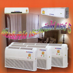 ลิ้มพงหลี วิทยุ-โทรทัศน์