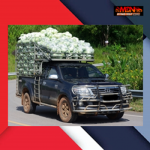 MON DYNO & TUNING SERVICE