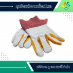 โรงงานผลิตและจำหน่ายถุงมือยางอุตสาหกรรม - เอ ทู เอส เซฟตี้